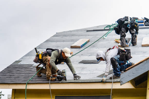Professional Emergency Roof Repair technician working in Lennon, MI